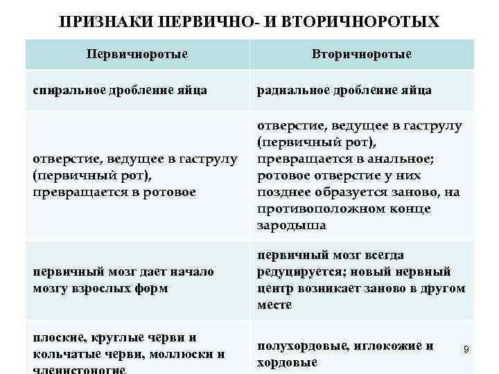 Особенности первичноротых и вторичноротых животных.