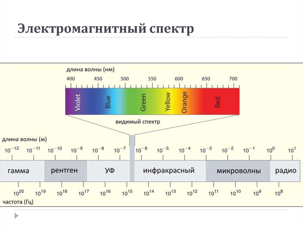 Электромагнитный спектр.