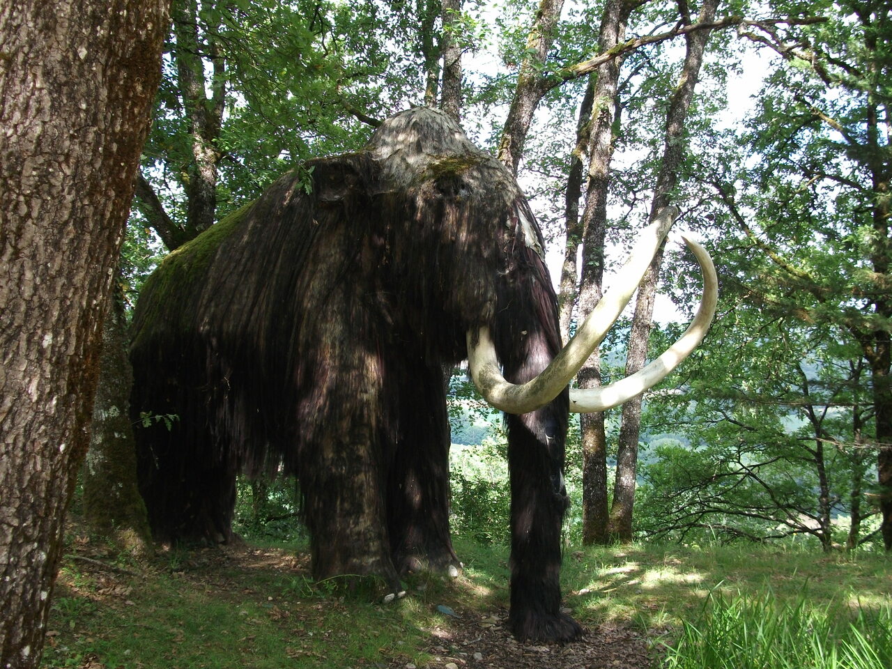 Березовский мамонт.