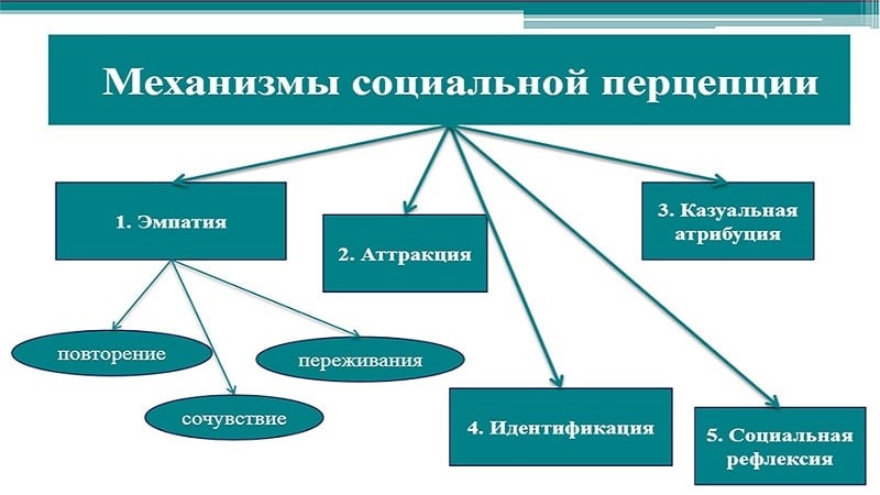 Механизмы социальной перцепции.