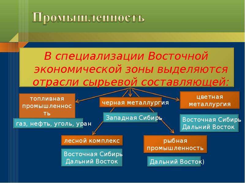 Специализация Восточной экономической зоны.