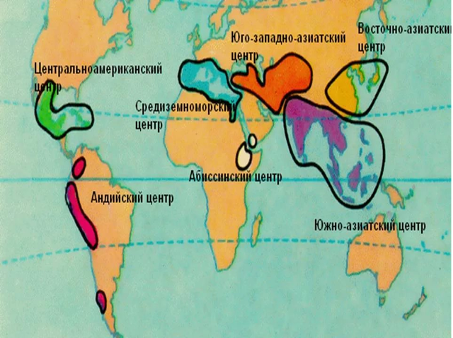 Основные центры происхождения культурных растений.