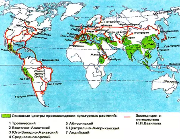 Основные центры происхождения культурных растений.