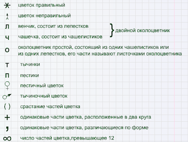 Обозначения для составления формулы цветка.
