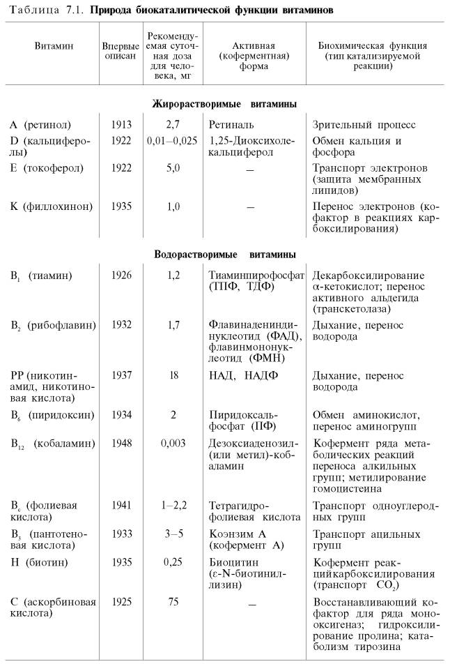 Виды витаминов.
