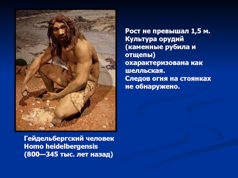 Гейдельбергский человек.