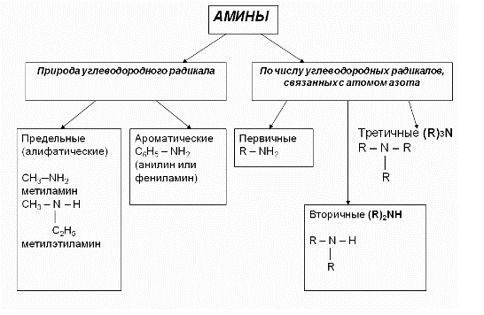 Классификация аминов.