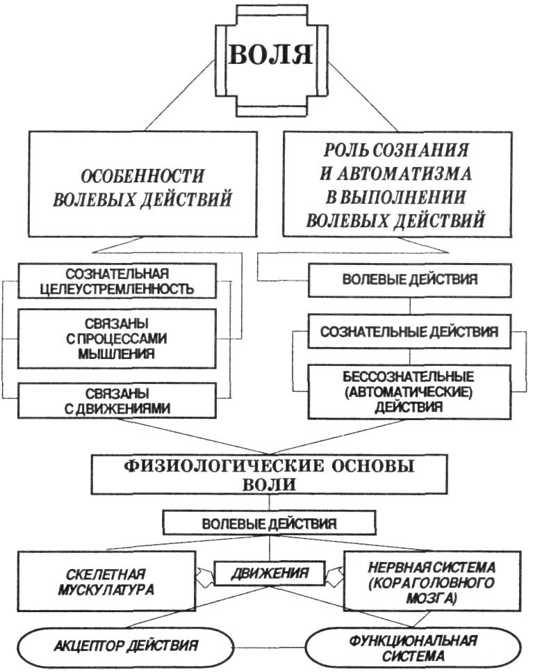 Воля